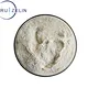Amylase enzyme powder